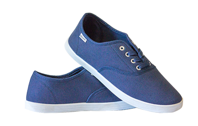 the shoe